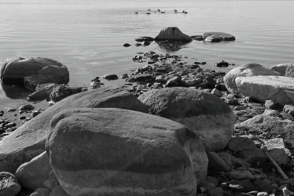 Nature 34