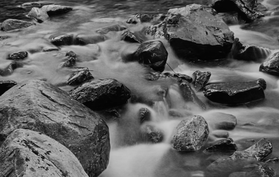Nature 35